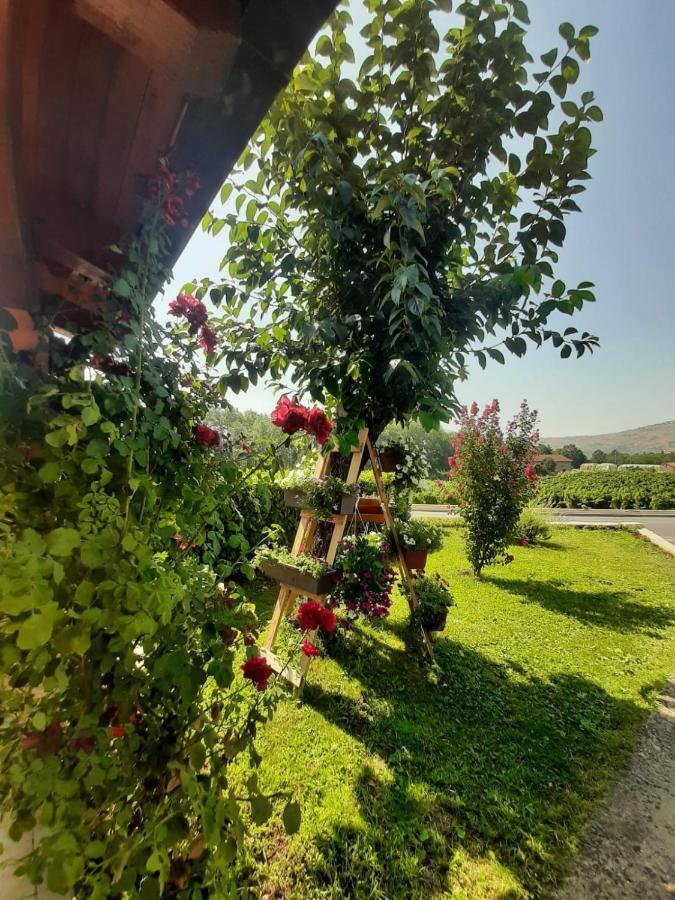 Rooms Mario Međugorje Dış mekan fotoğraf