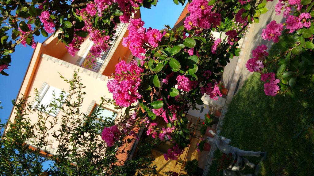 Rooms Mario Međugorje Dış mekan fotoğraf